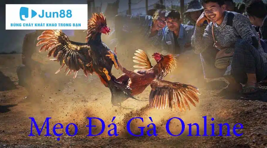 Mẹo Đá Gà Online Bách Thắng - Tổng Hợp Thủ Thuật Bất Bại       